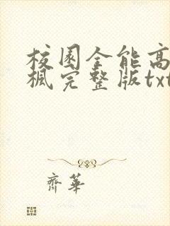 校园全能高手季枫完整版txt