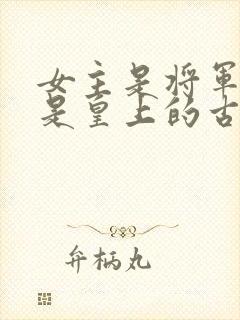女主是将军男主是皇上的古言