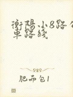 衡阳小8路公交车路线