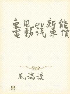 东风ev新能源电动汽车价格