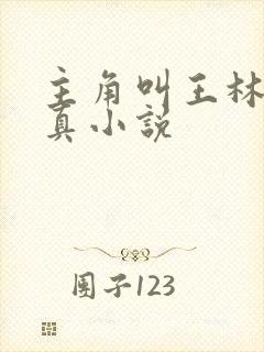主角叫王林的修真小说