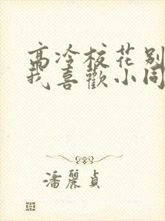 高冷校花别追了我喜欢小同桌