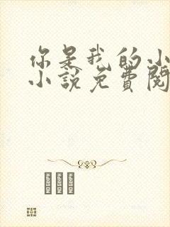 你是我的小确幸小说免费阅读