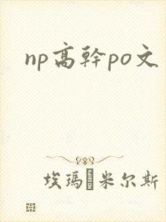 np高干po文