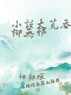 小说大荒吞天诀柳无邪