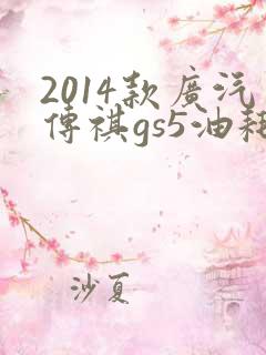 2014款广汽传祺gs5油耗多少
