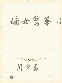 嫡女惊华 小说