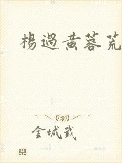 杨过黄蓉荒淫史
