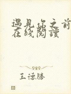 遇见你之前原著在线阅读
