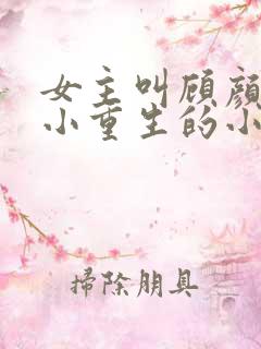 女主叫顾颜夏的小重生的小说