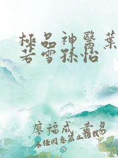 极品神医叶辰夏若雪孙怡