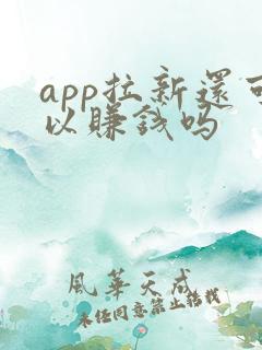 app拉新还可以赚钱吗