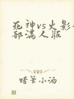 死神vs火影全部满人版