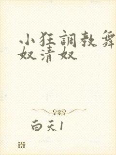 小狂调教舞奴荣奴清奴