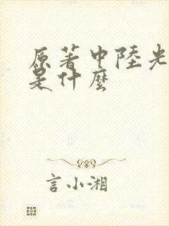原著中陆光结局是什么