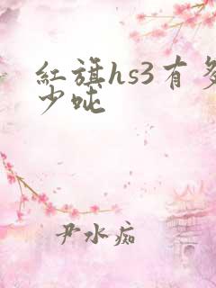 红旗hs3有多少吨