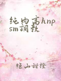 纯肉高hnp sm调教
