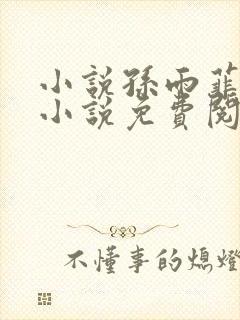 小说孙雨菲主角小说免费阅读全文