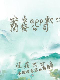 安卓app软件开发公司