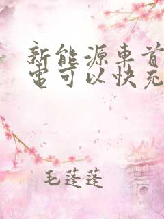 新能源车首次充电可以快充吗