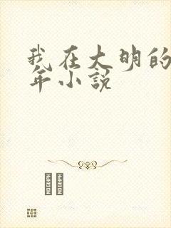 我在大明的那些年小说
