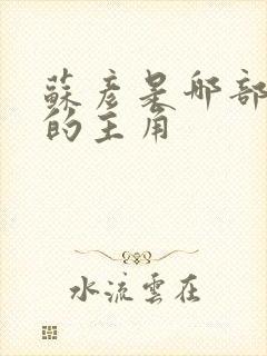 苏彦是哪部小说的主角