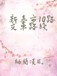新泰市10路公交车路线 新泰市10路公交车路线