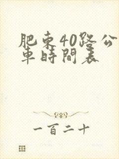 肥东40路公交车时间表 肥东40路公交车时间表