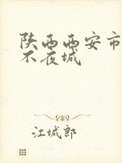 陕西西安市大唐不夜城