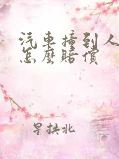 汽车撞到人全责怎么赔偿