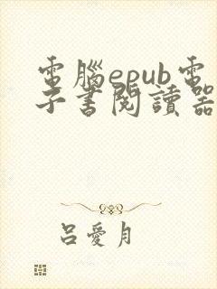 电脑epub电子书阅读器