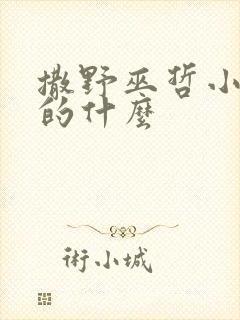 撒野巫哲小说讲的什么