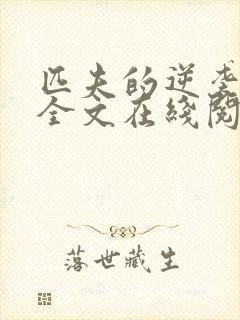 匹夫的逆袭小说全文在线阅读