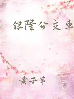 银隆公交车图片