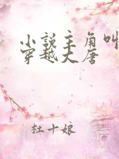 小说主角叫李易穿越大唐