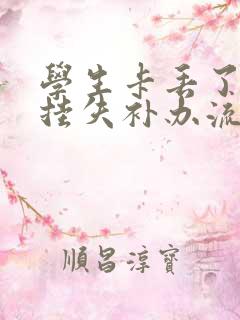 学生卡丢了怎么挂失补办流程