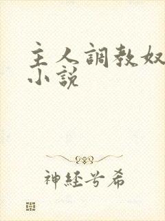 主人调教奴隶的小说
