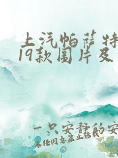 上汽帕萨特2019款图片及报价