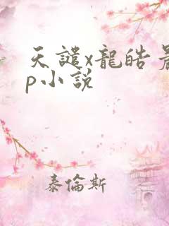 天谴x龙皓晨cp小说