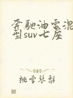 奔驰油电混合车型suv七座
