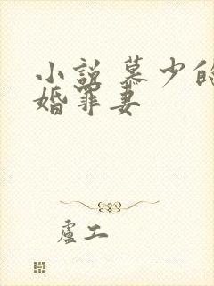 小说 慕少的隐婚罪妻