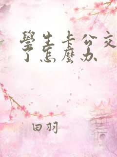 学生卡公交卡丢了怎么办