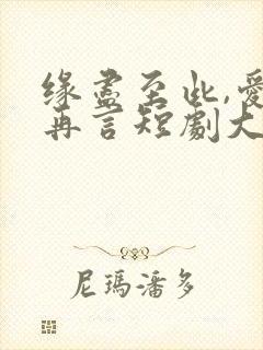 缘尽至此,爱不再言短剧大结局