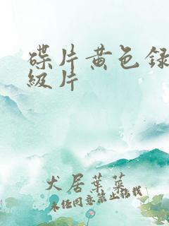 碟片黄色录像一级片