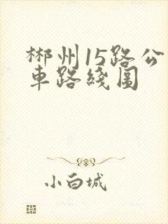 郴州15路公交车路线图