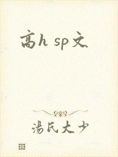 高h sp文