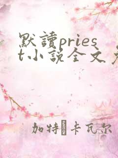 默读priest小说全文免费阅读全文