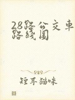 28路公交车的路线图