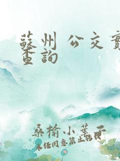 苏州 公交实时查询