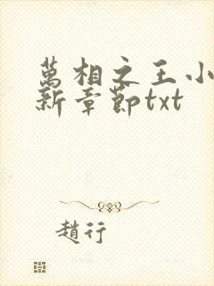万相之王小说最新章节txt